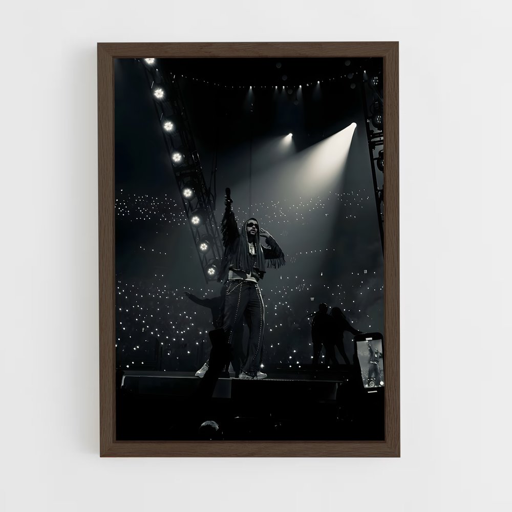 ap-bad bunny-2 cadre Bois foncé