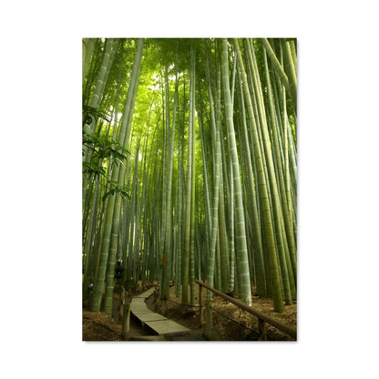 Poster Sentier de Bamboo