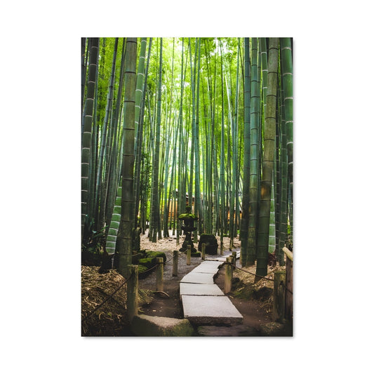 Poster Bamboo grove 96297
