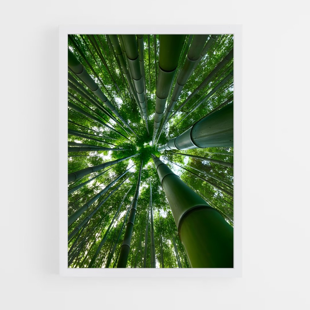 ap-bamboo forest-1 cadre Blanc