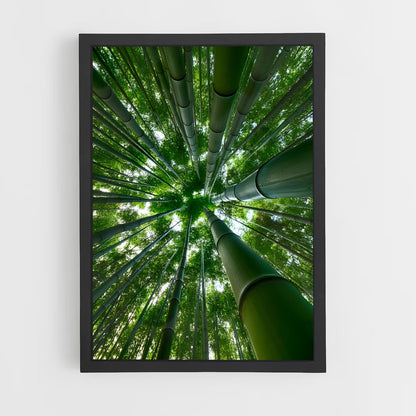 ap-bamboo forest-1 cadre Noir