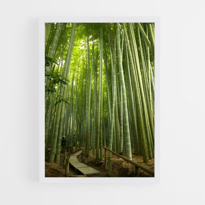 ap-bamboo forest-10 cadre Blanc