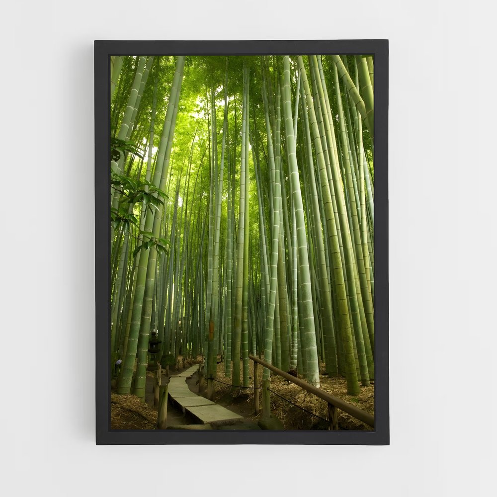 ap-bamboo forest-10 cadre Noir