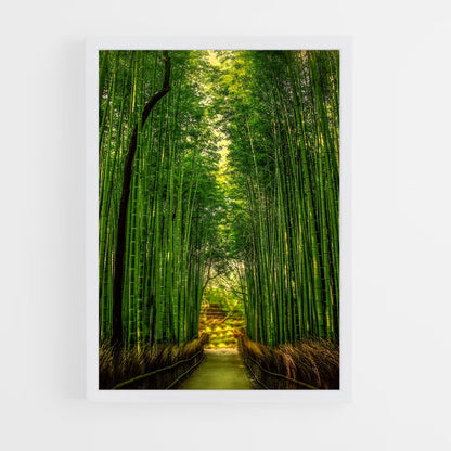 ap-bamboo forest-11 cadre Blanc