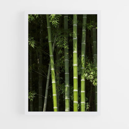 ap-bamboo forest-12 cadre Blanc