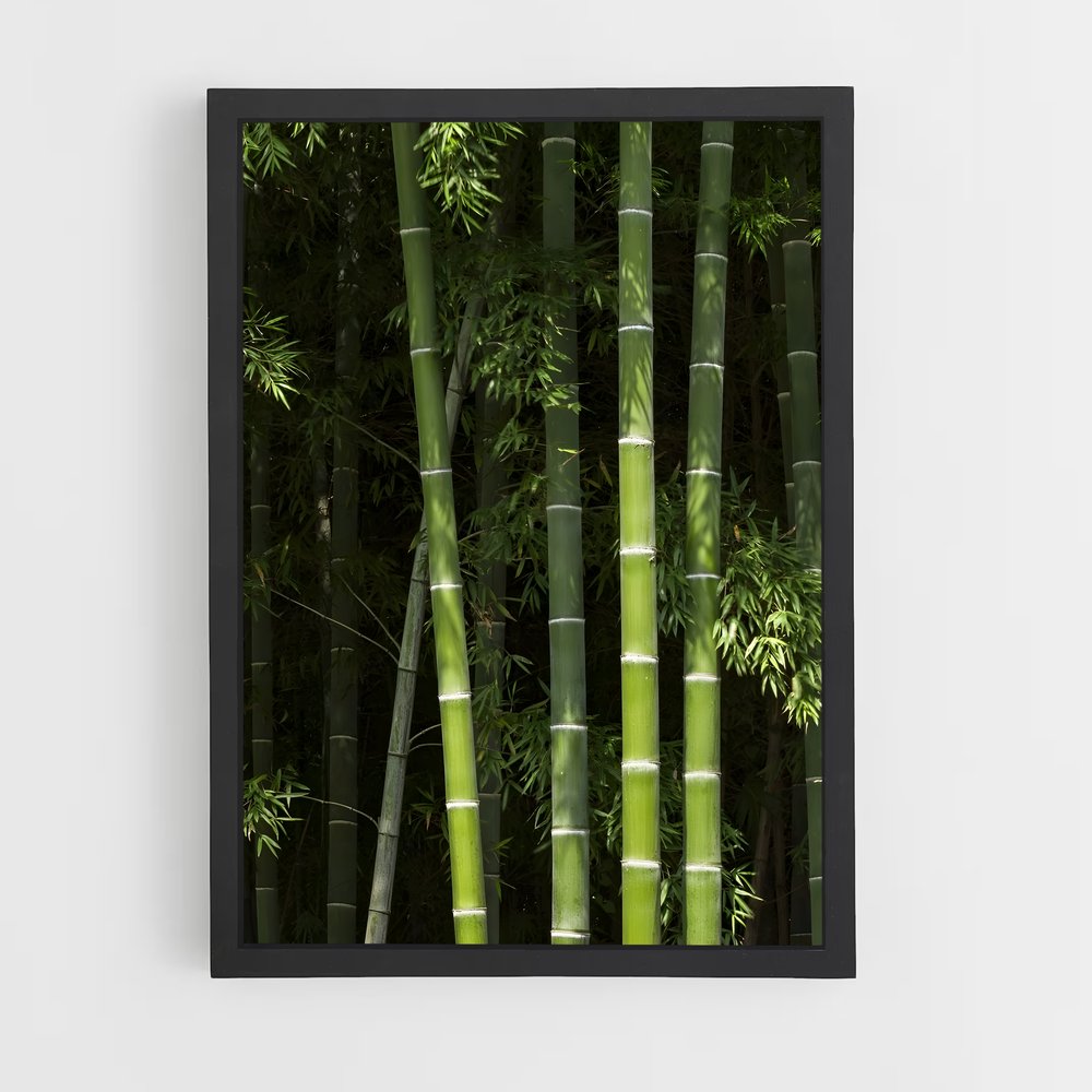 ap-bamboo forest-12 cadre Noir