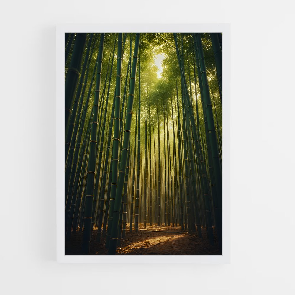 ap-bamboo forest-8 cadre Blanc