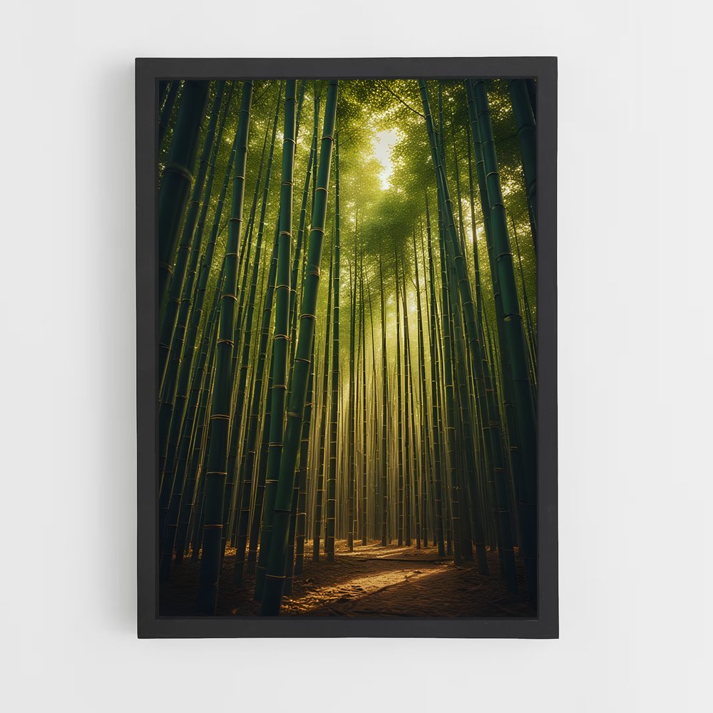 ap-bamboo forest-8 cadre Noir