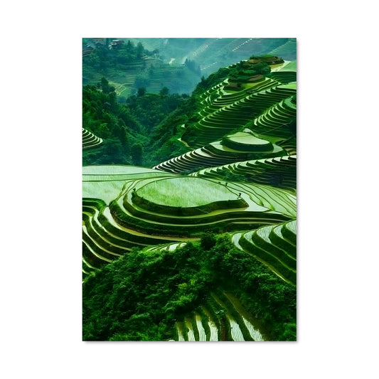 Poster Terrasses d'Un Monde Élevé