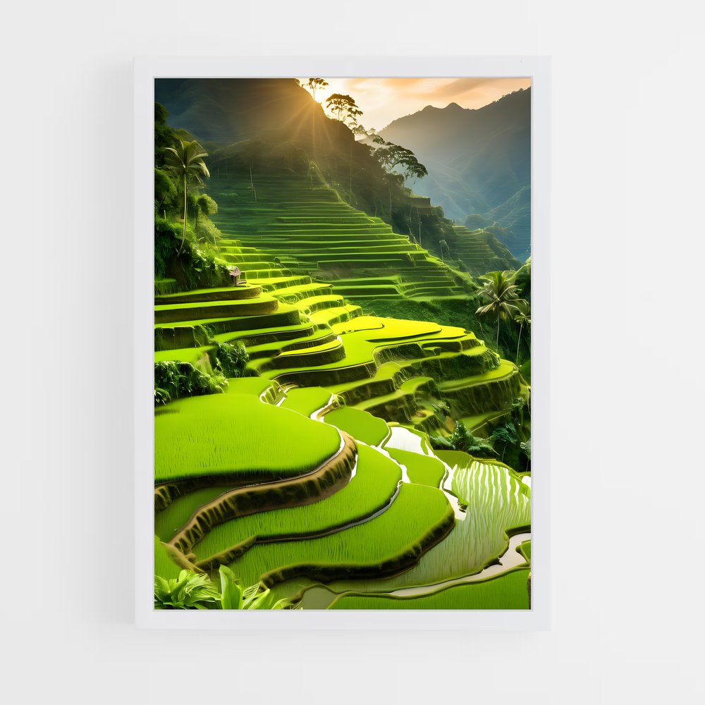 ap-banaue rice terraces-10 cadre Blanc