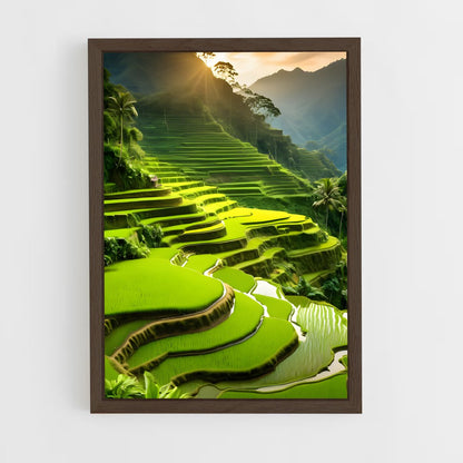 ap-banaue rice terraces-10 cadre Bois foncé