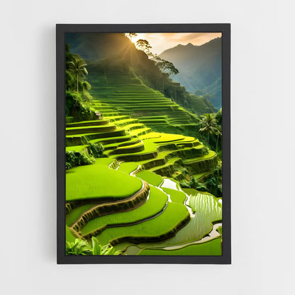 ap-banaue rice terraces-10 cadre Noir