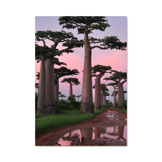 Poster Baobab au Crépuscule