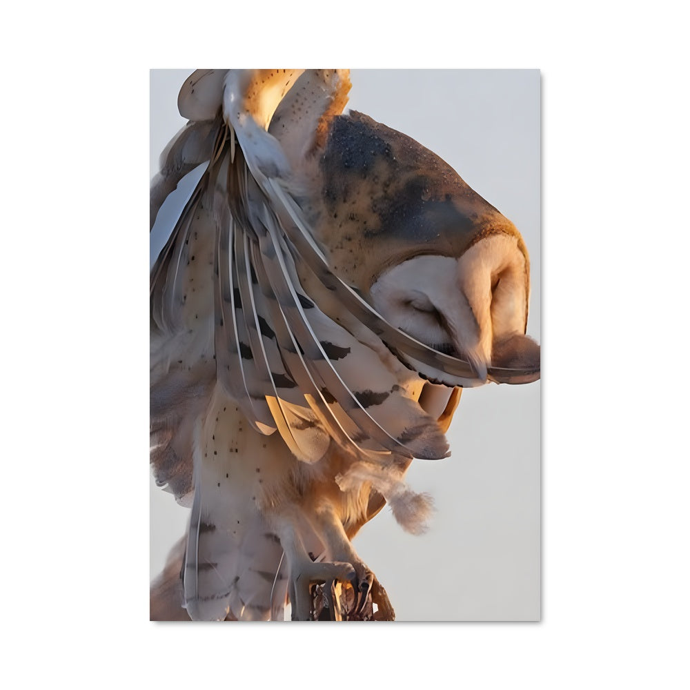 Poster Chouette des Granges