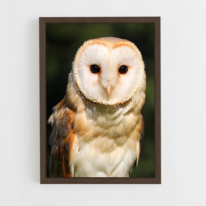 ap-barn owl-2 cadre Bois foncé