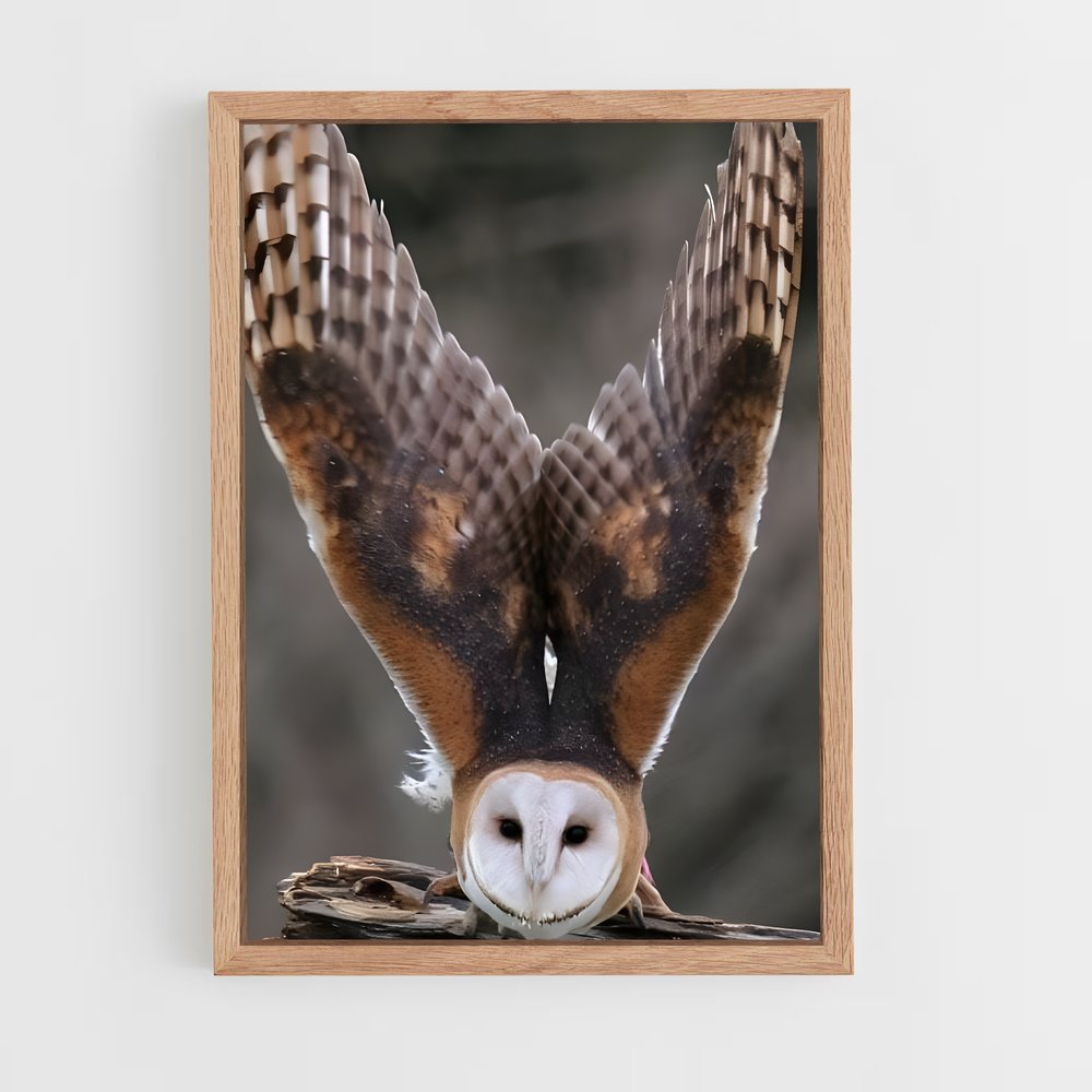 ap-barn owl-3 cadre Bois clair