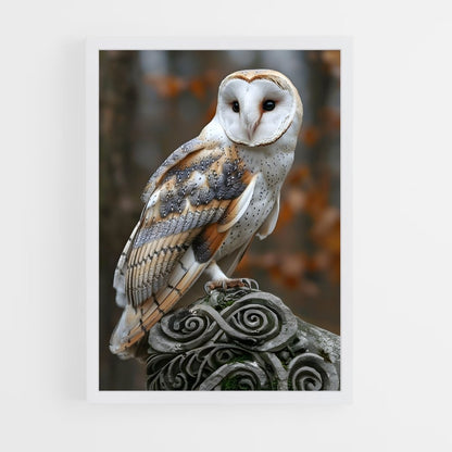 ap-barn owl-8 cadre Blanc