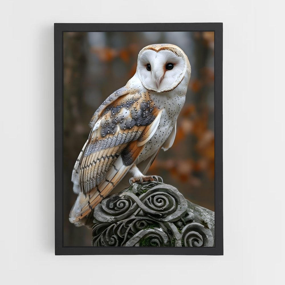 ap-barn owl-8 cadre Noir