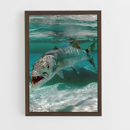 ap-barracuda-1 cadre Bois foncé