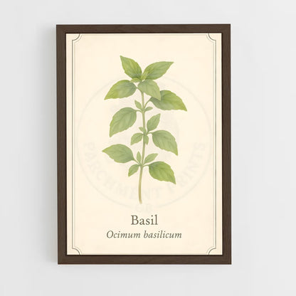 ap-basil-5 cadre Bois foncé