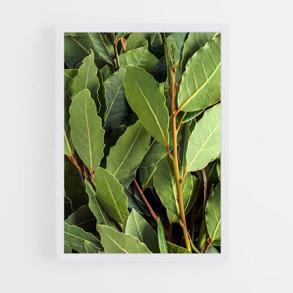 ap-bay leaves-2 cadre Blanc
