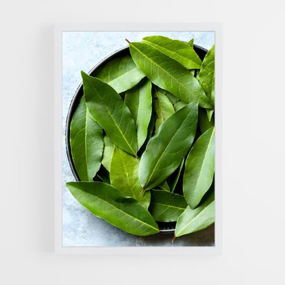 ap-bay leaves-7 cadre Blanc