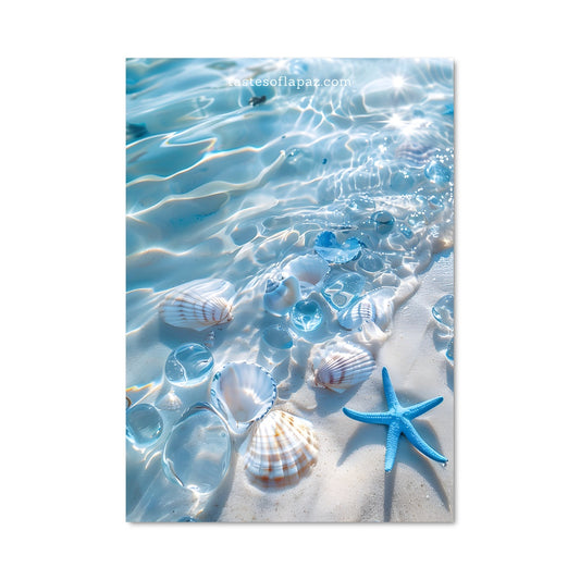 Poster Trésors de Plage