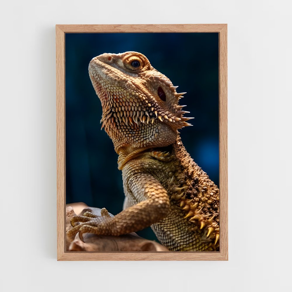 ap-bearded dragon-3 cadre Bois clair
