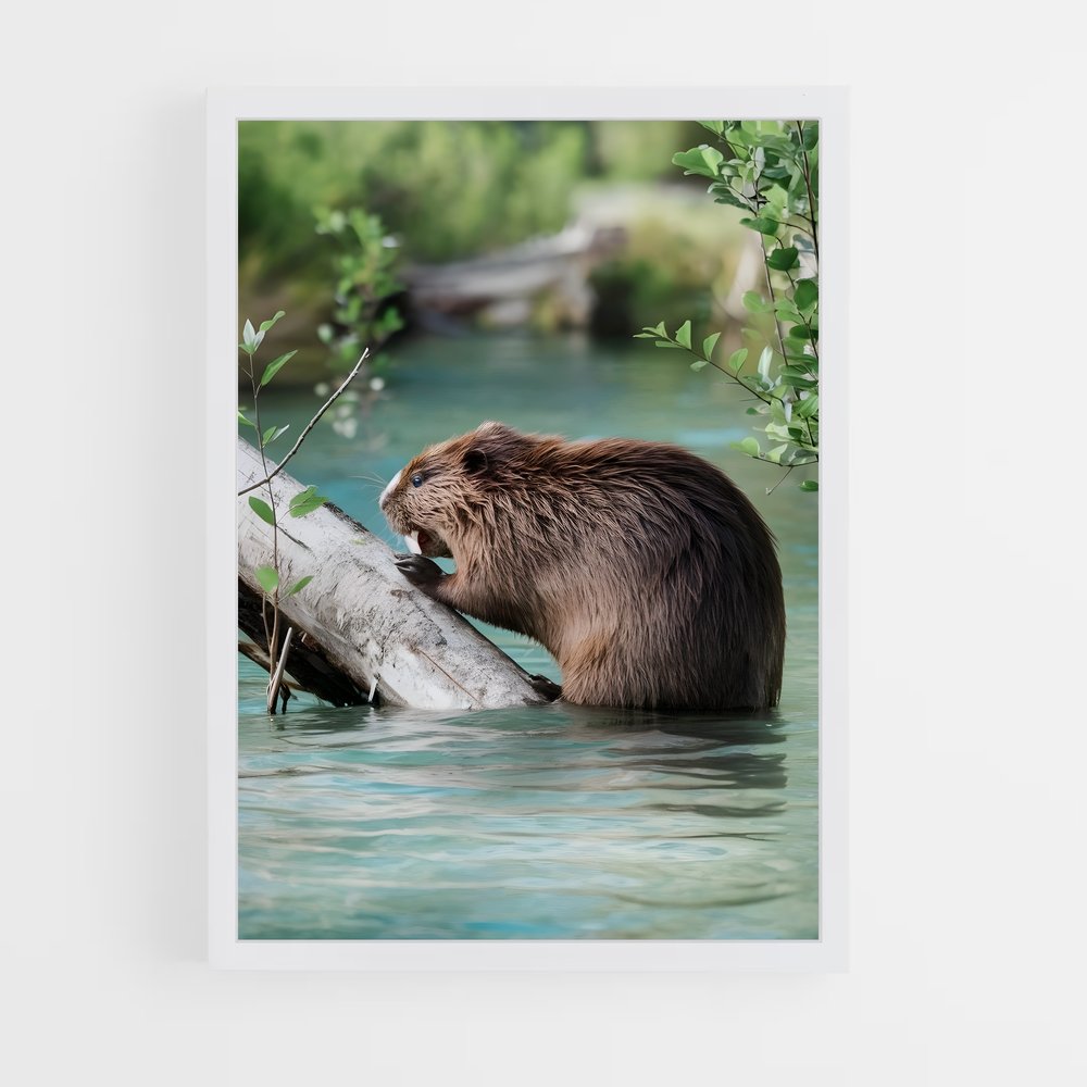 ap-beaver-7 cadre Blanc