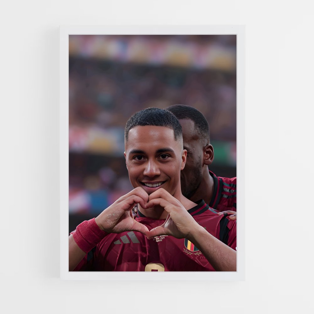 ap-belgium national football team-7 cadre Blanc