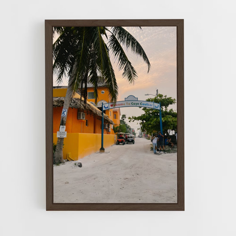 ap-belize city-1 cadre Bois foncé
