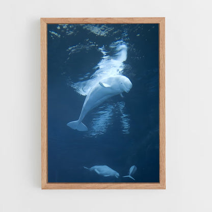 ap-beluga whale-6 cadre Bois clair