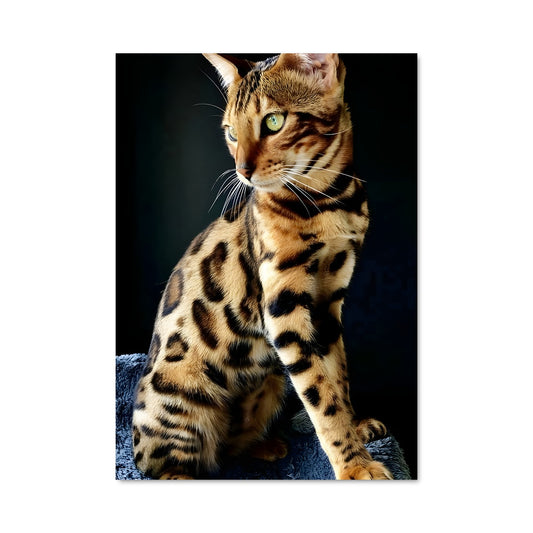 Poster Bengal Élégance