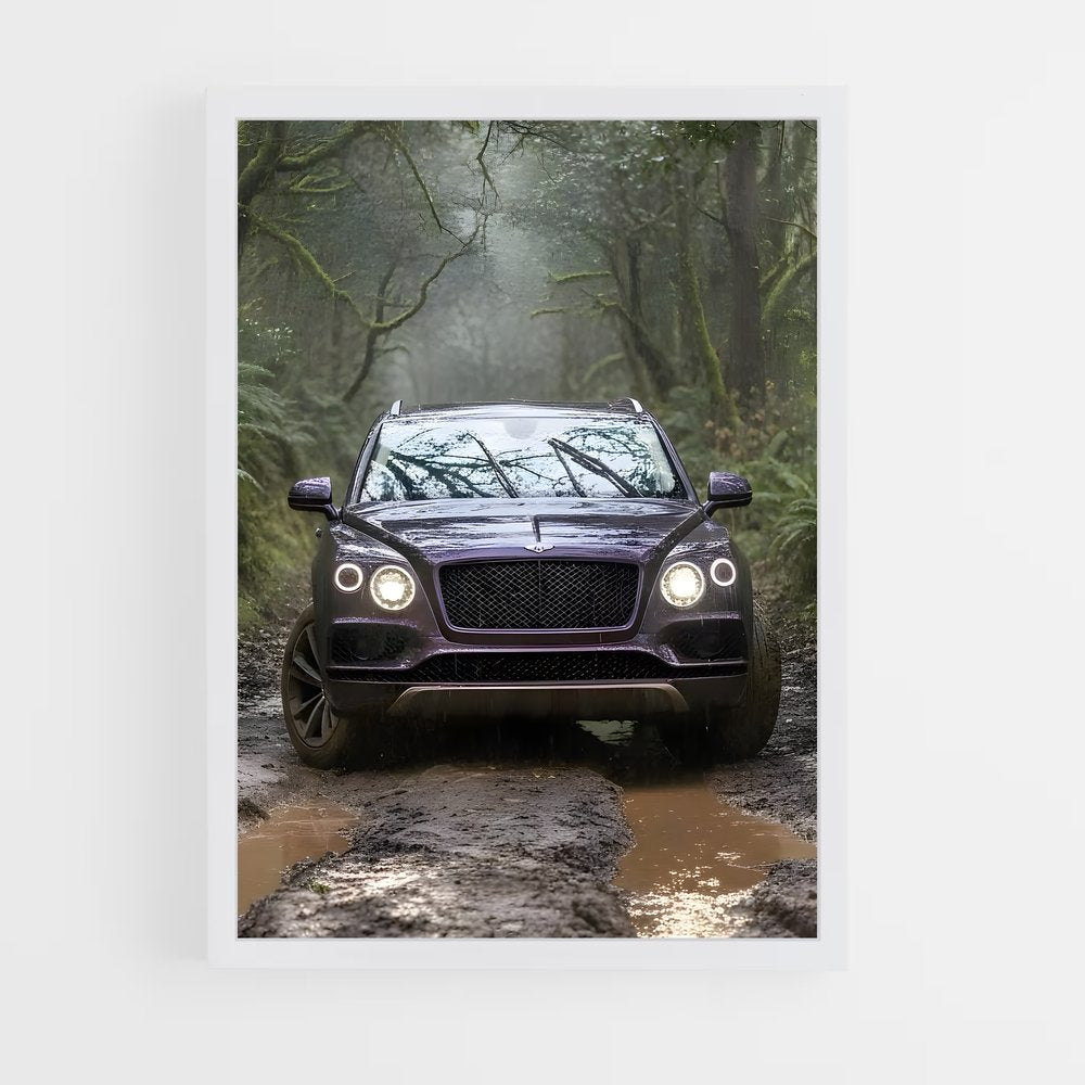 ap-bentayga-4 cadre Blanc