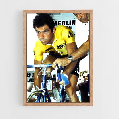 ap-bernard hinault-3 cadre Bois clair
