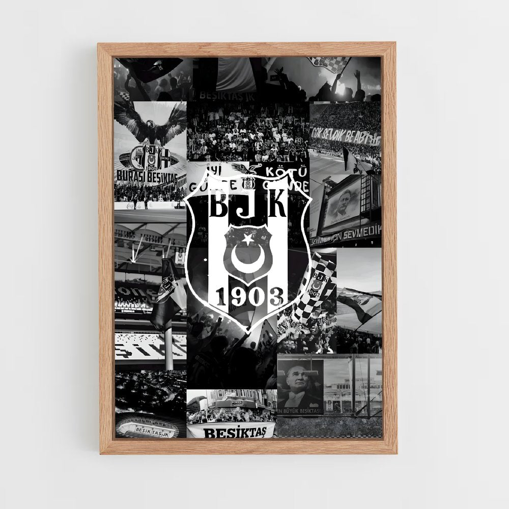 ap-besiktas jk-1 cadre Bois clair