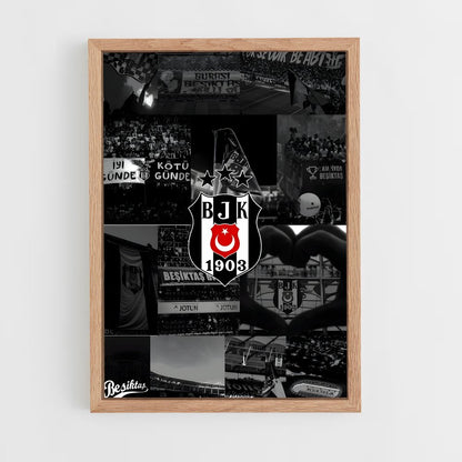 ap-besiktas jk-10 cadre Bois clair