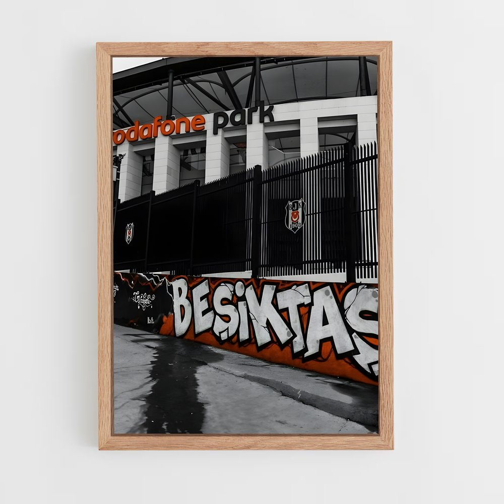 ap-besiktas jk-6 cadre Bois clair