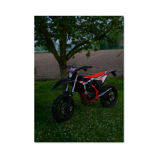 Poster Évasion Sous l'Arbre