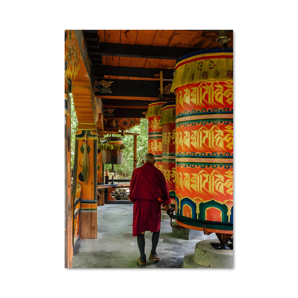 Poster Méditation au Cœur de la Jungle