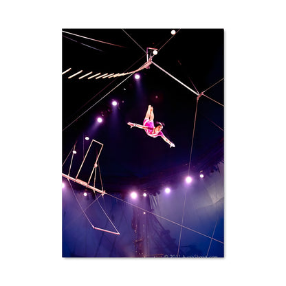 Poster L'Art de l'Acrobatie