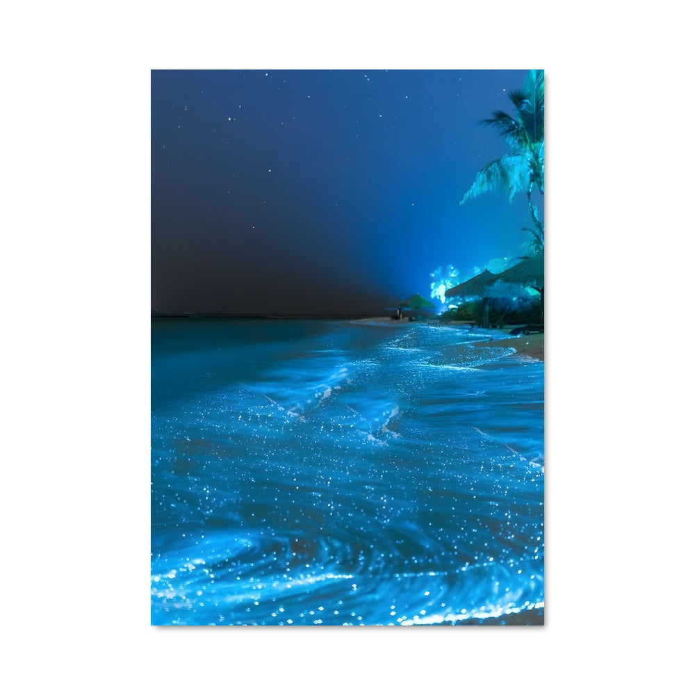 Poster Bioluminescent beaches 88676