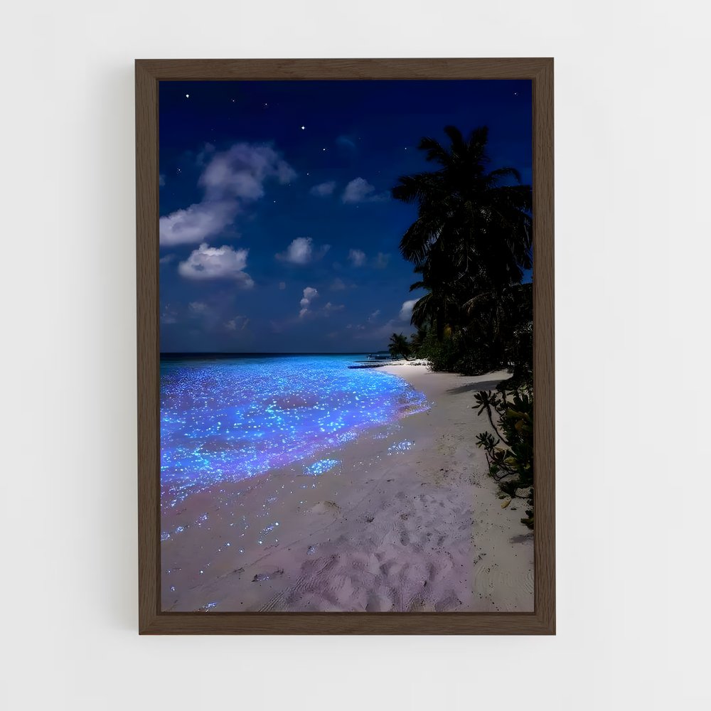 ap-bioluminescent beaches-10 cadre Bois foncé