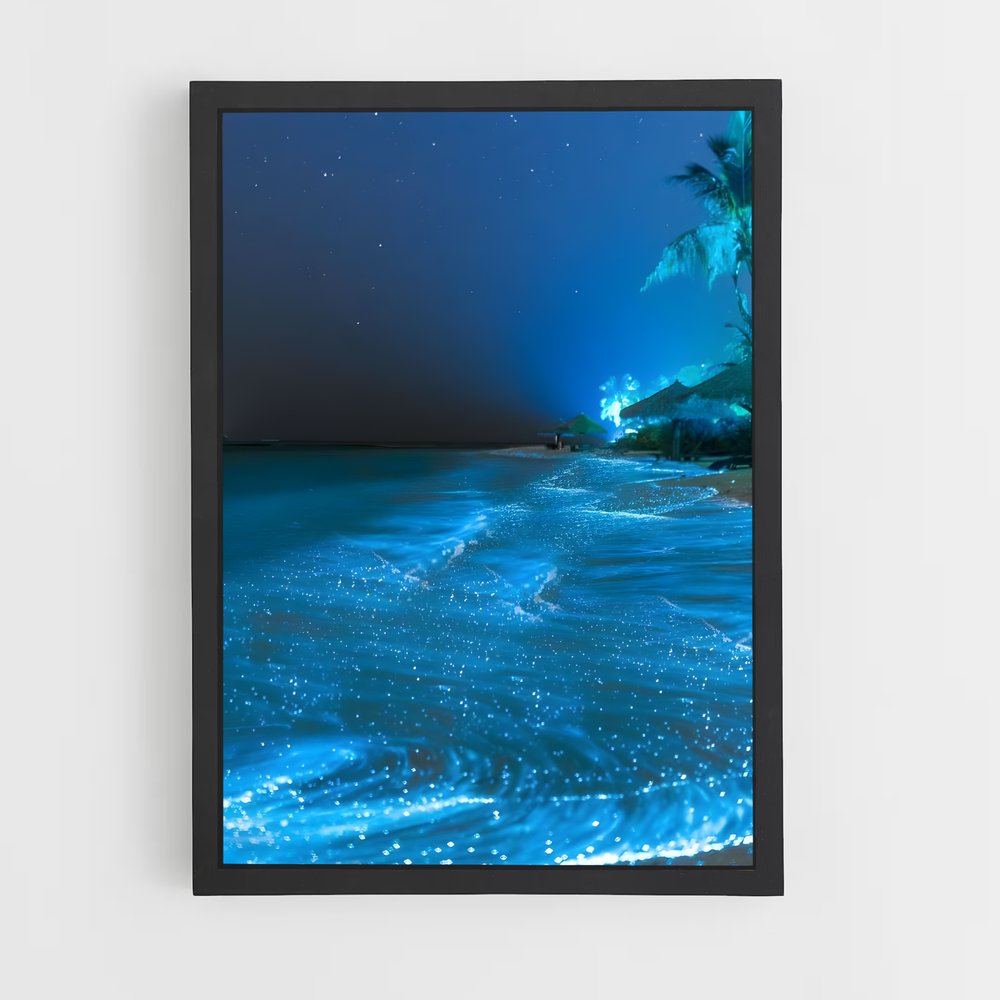 ap-bioluminescent beaches-2 cadre Noir