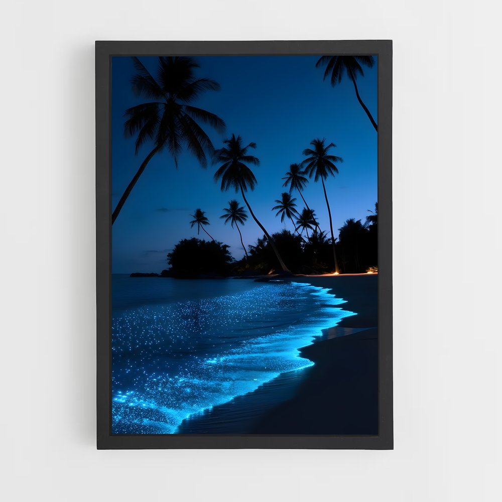 ap-bioluminescent beaches-4 cadre Noir