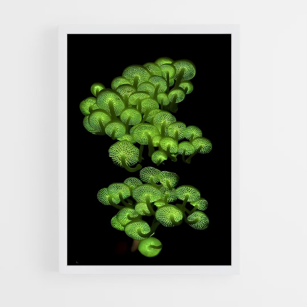 ap-bioluminescent mushroom-3 cadre Blanc