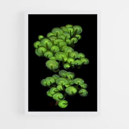 ap-bioluminescent mushroom-3 cadre Blanc