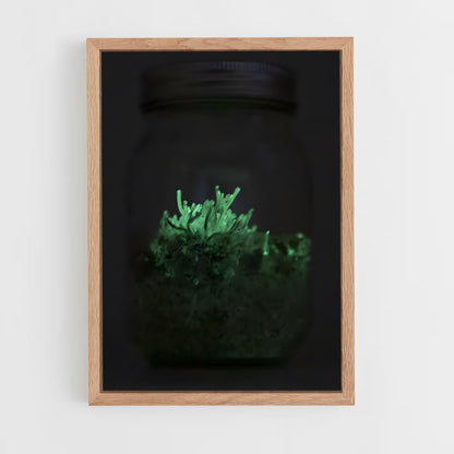 ap-bioluminescent mushroom-7 cadre Bois clair