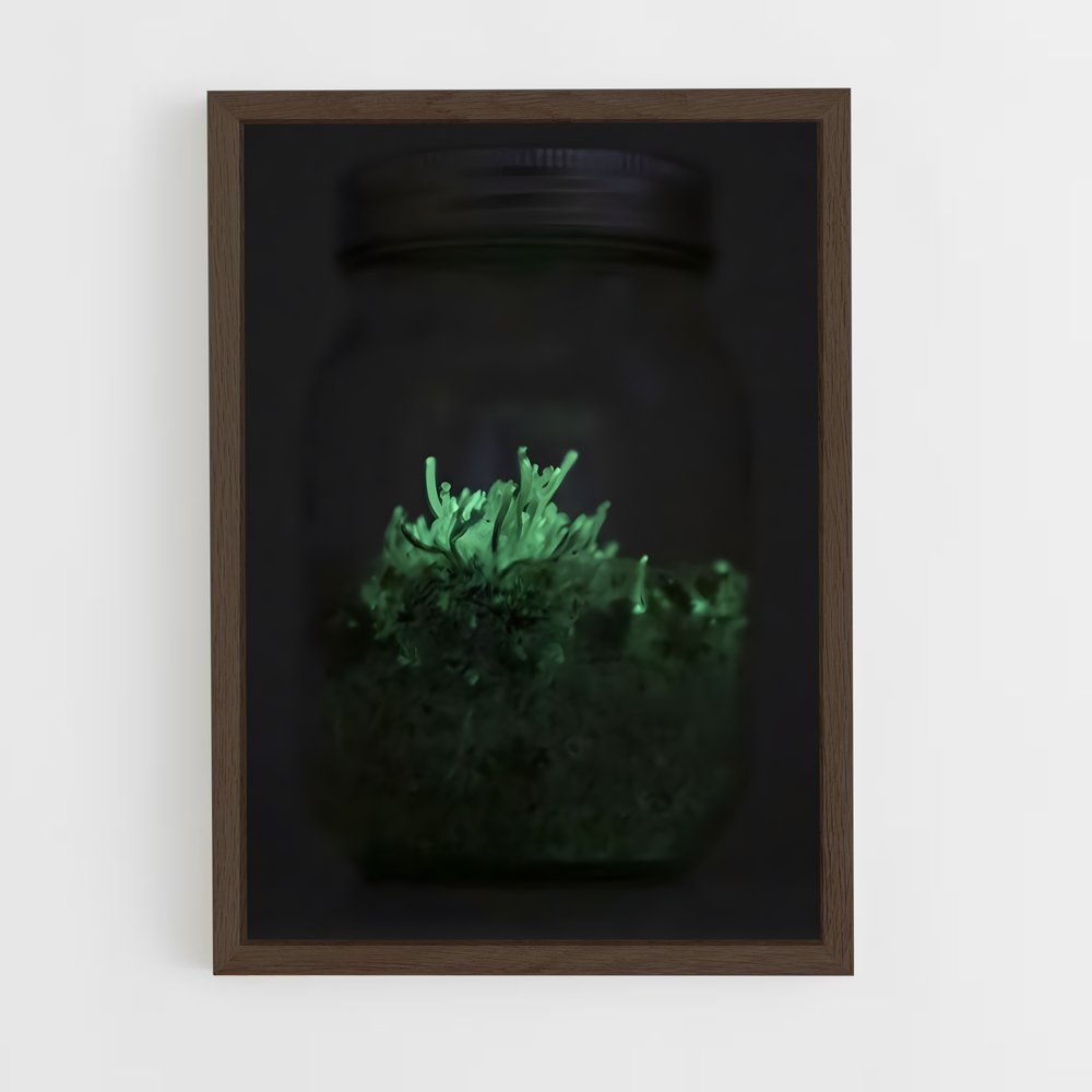 ap-bioluminescent mushroom-7 cadre Bois foncé