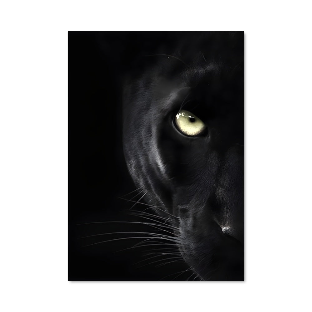 Poster Regard Félin